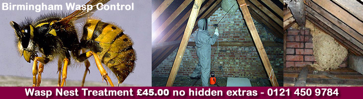 Birmingham Wasp Control, Wasp nest treatment and removal only £45.00 no extra, 100% guarantee with no hidden extras or nasty surprises. T:0121 450 9784 